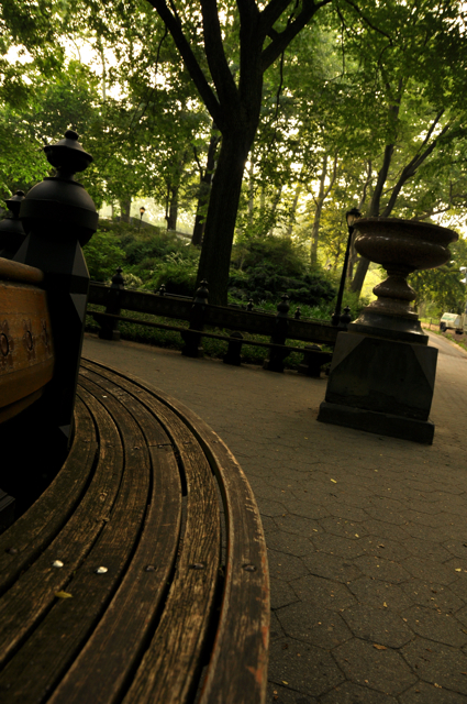 a curved bench in central park