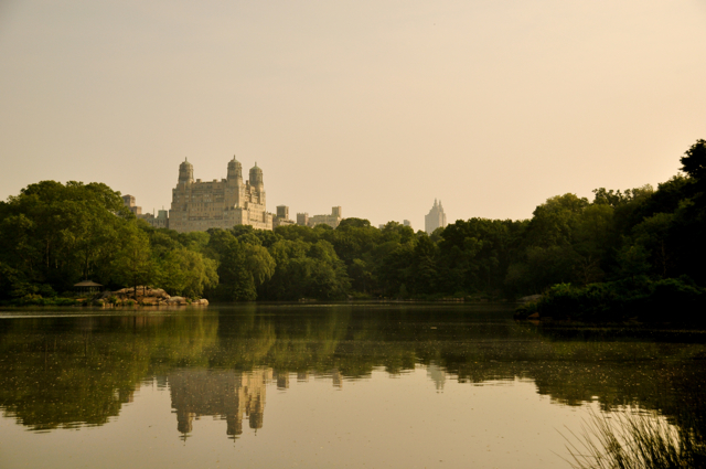 reflections on the lake in Central Park