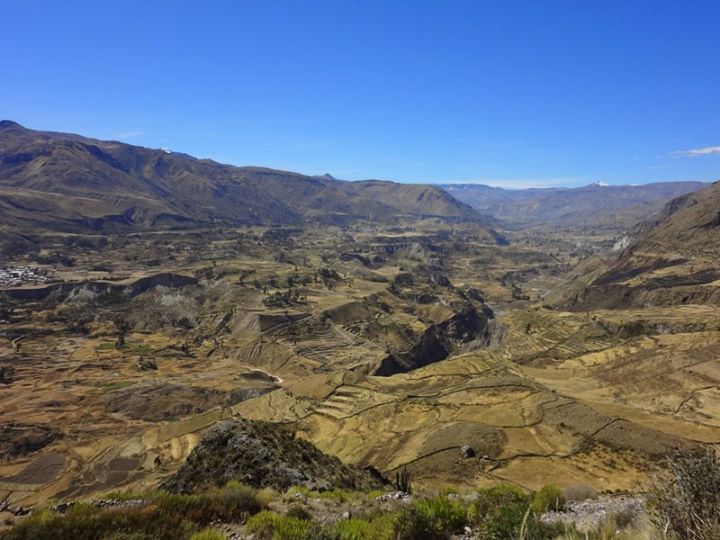 Colca Valley