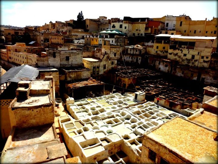 tannery in Fez