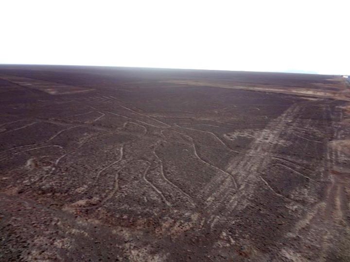 Nasca lines from the viewpoint