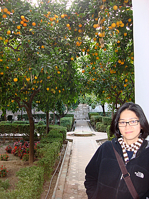 orange garden, Seville