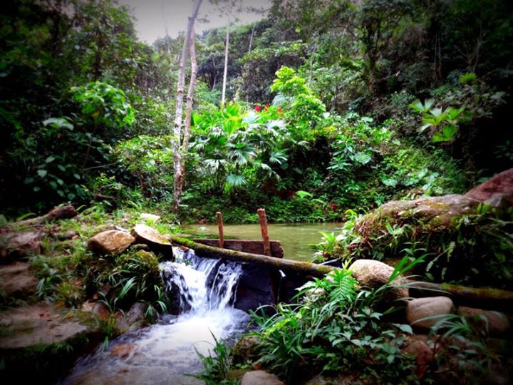 our natural swimming pool