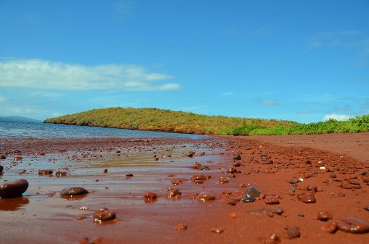 Rabida Island with red sand because of iron deposits.