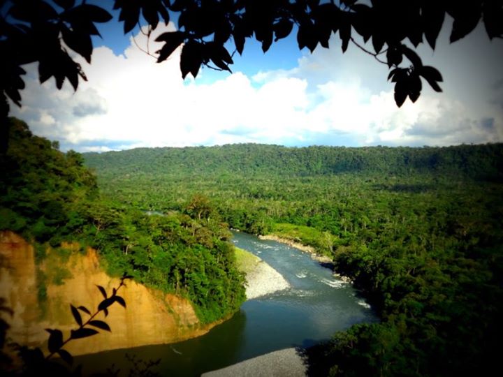 one of the rivers that feed the Amazon