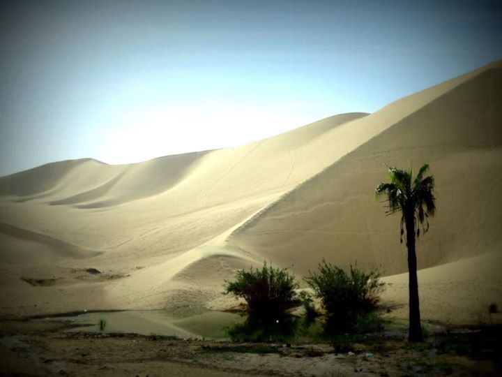 the sand dunes of Ica