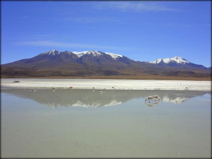 snow capped mountains