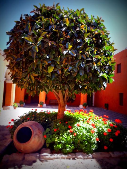 tree