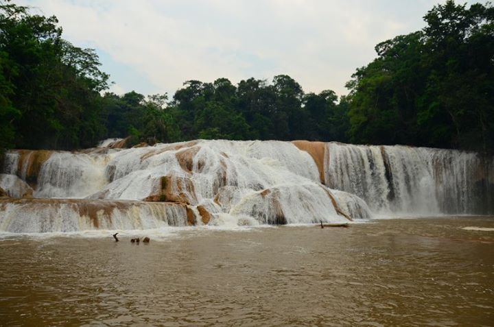 waterfall brown muddy
