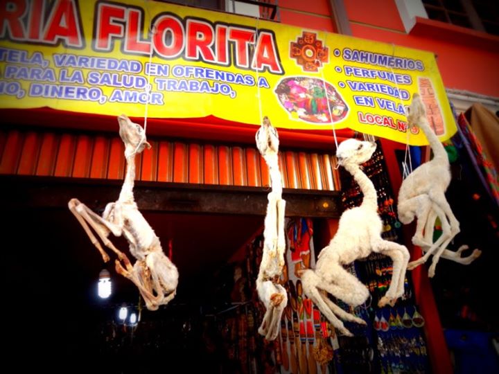 dried llama fetuses in the Witches' Market