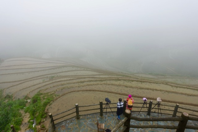 Longji rice terraces